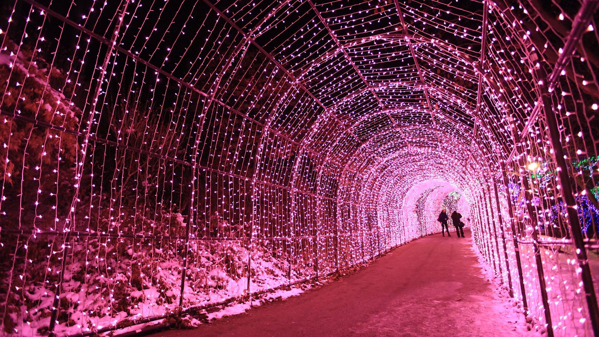 The Garden of Morning Calm